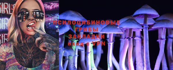ешки Абаза