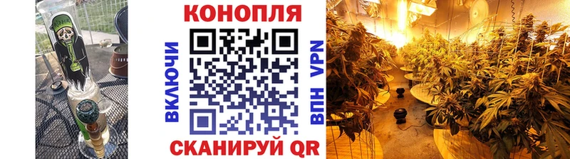 Конопля Ganja Хилок